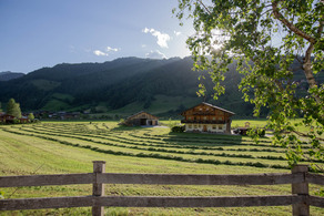 astlhof-neue-83-1-of-1.jpg