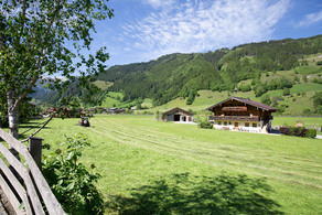 astlhof-neue81-1-of-1-2.jpg